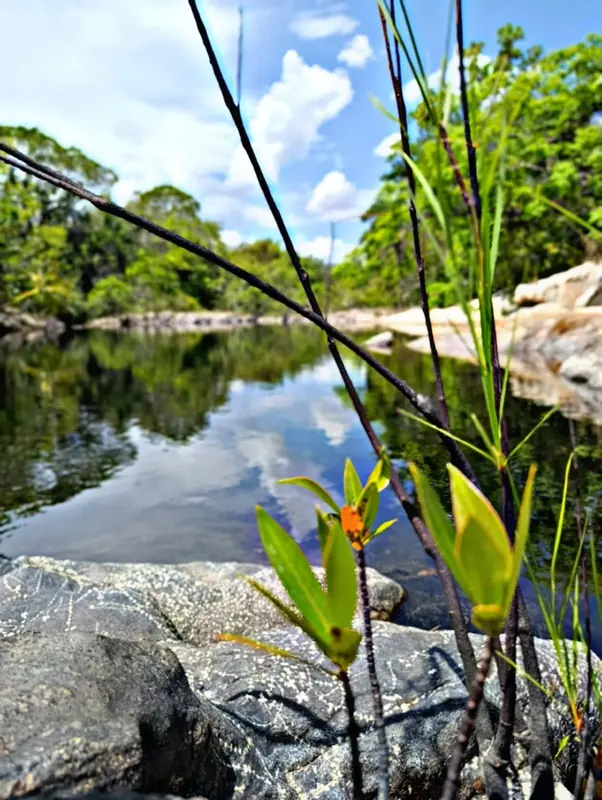 Poço natural e águas límpidas para banho privativo nos terrenos do Vale Mencarini