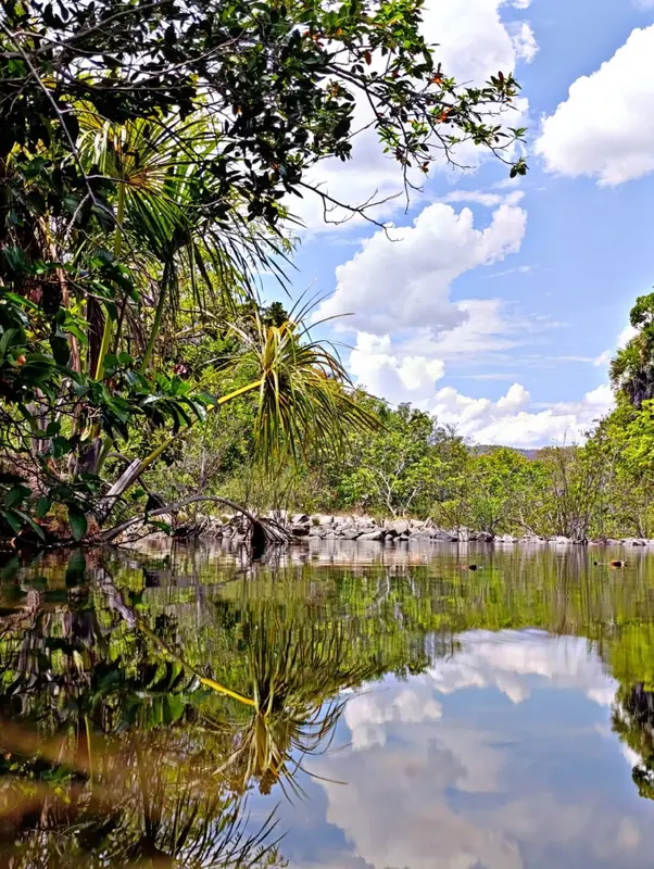 Espelho d'água natural e preservação de buritis nas terras do Vale Mencarini