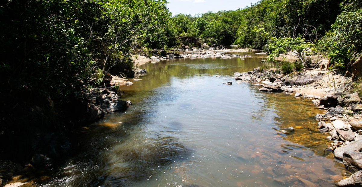 Ecoturismo e Glamping