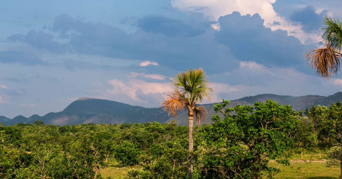 Agroecologia e Fruticultura