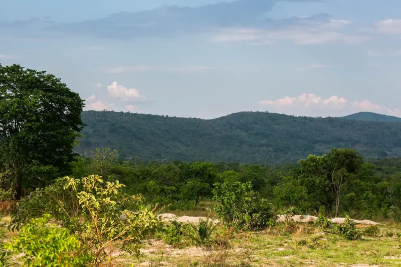 Vegetação nativa do Cerrado e área de terra com 80% de aproveitamento sustentável