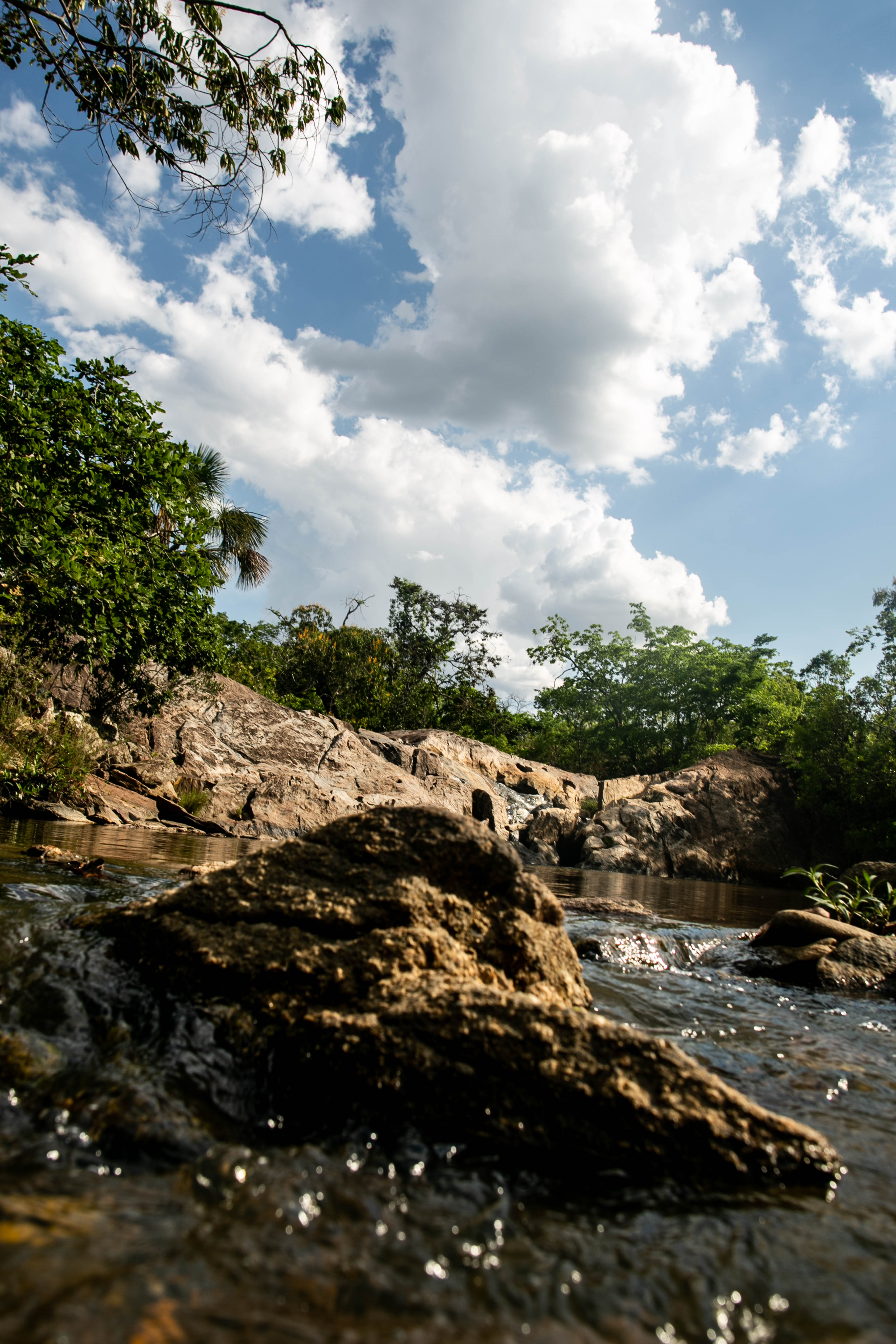 Nascentes e Águas da Chapada